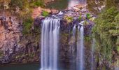 Dorrigo Dangar Falls - Dorrigo National Park