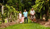 Family on a tour of Tropical Fruit World in Duranbah, Tweed Coast