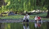 A family fossicking at a creek, near Inverell