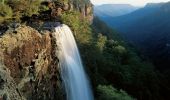 Water plunging at Fitzroy Falls, Morton National Park, Southern Highlands