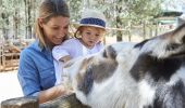 A mother and daughter petting a donkey, Wagga Wagga Botanic Gardens zoo