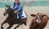 A jillaroo on horseback in a steer undecorating competition, Qurindi Rodeo