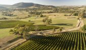 Scenic aerial views overlooking vineyards of Tumbarumba in the Snowy Valleys region