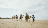 Family enjoying a guided experience with Port Macquarie Camel Safaris 