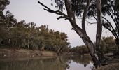 The Barwon River, home to the traditional Aboriginal fish traps in Brewarrina (Ngemba Country), also known as Baiame's Ngunnhu, Outback NSW