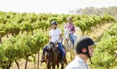 Murchessons Horseback Wine and Dine Tours, Pokolbin, Hunter Valley