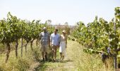 Rosnay Organic Wines - Canowindra