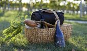 Enjoy a picnic in the vines at Rowlee Wines - Orange, Country NSW