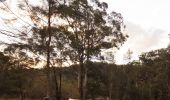 Camping with the family on the Hawkesbury River