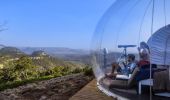 Bubbletent Australia - a couple enjoying tea - Capertee Valley, Blue Mountains