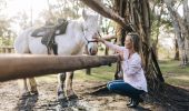Woman meeting one of the horses at Zephyr Horses in Byron Bay, North Coast