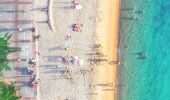 Manly Beach. Image Credit: Adam Krowitz
