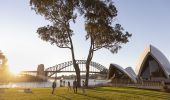 Circular Quay Shot - Royal Botanic Garden Sydney