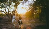 Grays Holler Horse Riding in Lightning Ridge - Outback NSW