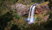 Aerial view of Ebor Falls, Armidale - Credit: Armidale Visitor Information Centre