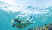 Woman snorkelling off Lord Howe Island