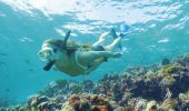 Woman snorkelling off Lord Howe Island
