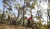 Mother and daughter enjoying a day of mountain biking in the Blue Mountains National Park, Blue Mountains