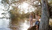 Children exploring the Lake at NRMA Myall Shores Holiday Park in Bulahdelah