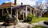 Spring time view of the Wisteria walkway at Norman Lindsay Gallery in Faulconbridge, Katoomba