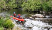 Canoeing the Barrington River with Barrington Outdoor Adventures, Barrington Tops National Park