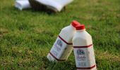 Bodalla Dairy Milk in Bodalla, Batemans Bay Area, South Coast