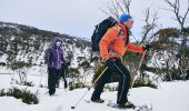 Group passing through Dead Horse Gap, Thredbo in the Snowy Mountains on a snowshoe adventure