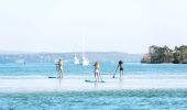 Friends enjoying a day of stand up paddleboarding on Lake Macquarie off Naru Beach
