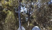 Family enjoying a morning campfire in Dunns Swamp - Ganguddy Picnic and Camping Area, Wollemi National Park, Country NSW