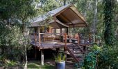 Luxury safari tent amongst the trees at Paperbark Camp in Jervis Bay