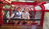 카툼바(Katoomba) 시닉 월드(Scenic World) 에서 시닉 레일웨이(Scenic Railway) 타고 즐거운 시간을 보내는 커플