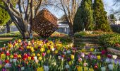 Tulip Time Festival, Bowral