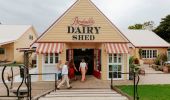 Menschen genießen den Bodalla Dairy Shed, Bodalla