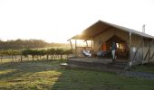 Couple enjoying a glamping experience at Nashdale Lane Wines, Nashdale