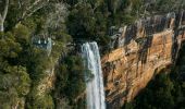 피츠로이 폭포(Fitzroy Falls), 캥거루 밸리 위 전망대에 서 있는 사람들의 공중 사진