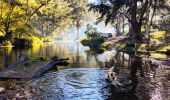Turon Gates Mountain Retreat, Blue Mountains - Credit: Turon Gates Mountain Retreat
