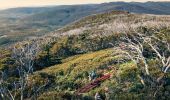Snowies Alpine Walk, Snowy Mountains