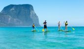 Family stand-up paddleboarding at Lagoon Beach, Stand-up Paddleboarding, Lord Howe Island