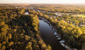 Aerial of houseboats parked on river, Murray River, Moama - Credit: Matt Beaver 