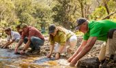 Trout fishing in mountain stream, wild mushroom foraging in highland forests, panning for gold & sapphires, Bathurst
