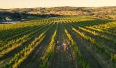 Ross Hill Wines, Orange
