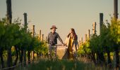 Couple walking through the vineyards at Ross Hill Wines, Orange