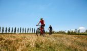 Friends enjoying the scenery on hired bicycles at Heifer Station, Orange