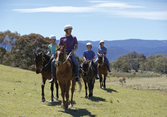 Horse Riding in the Snowy Mountains 