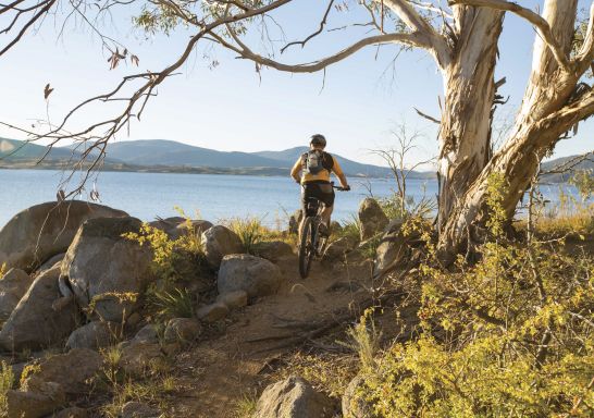 山地自行车 - 主山脉路线 -科休斯科国家公园（Kosciuszko National Park）