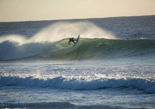 Surfer catches a morning wave at Duranbah Beach, Tweed Heads
