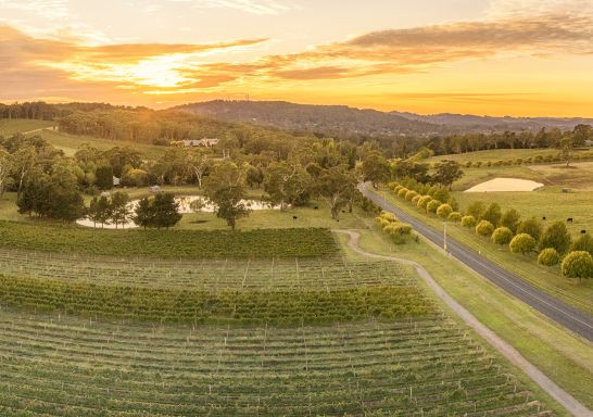 Scenic country views surrounding Centennial Vineyards in Bowral, Southern Highlands