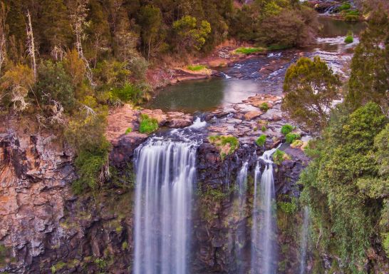 Dangar Falls in Oxley Wild Rivers National Park - Dorrigo