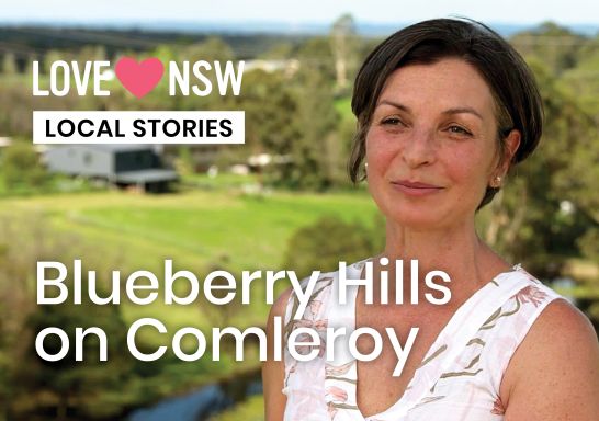 Blueberry Hills on Comleroy