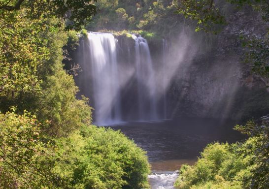 Scenic shot of Dangar Falls, near Dorrigo, North Coast